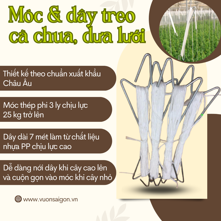 Móc treo , dây treo dưa lưới, treo thân dây leo (Vườn Sài Gòn - Vuon Sai Gon)