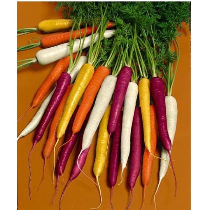 Hạt giống cà rốt nhiều màu F1 gói 0.2 gram xuất xứ Hà Lan