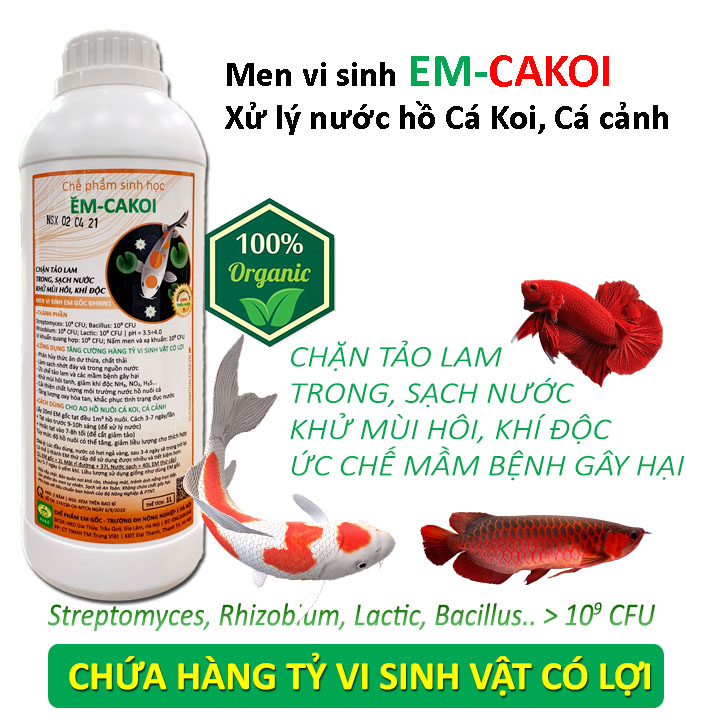 Chế phẩm vi sinh xử lý nước hồ cá Koi, cá cảnh - Làm sạch nhớt đáy, trong nguồn nước - Ức chế tảo lam - Khử mùi hôi, khí độc