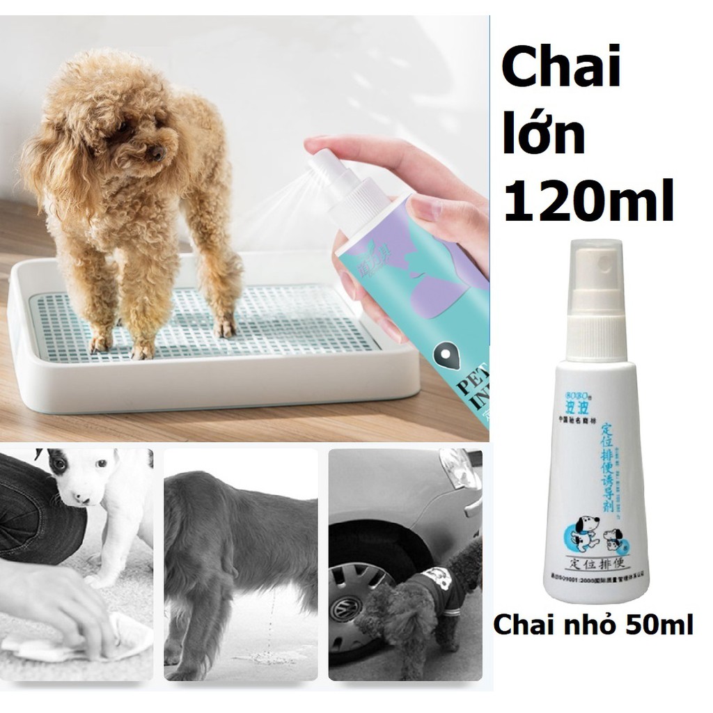 Chai xịt vệ sinh Bobo giúp thú cưng đi vệ sinh đúng chỗ 60ml