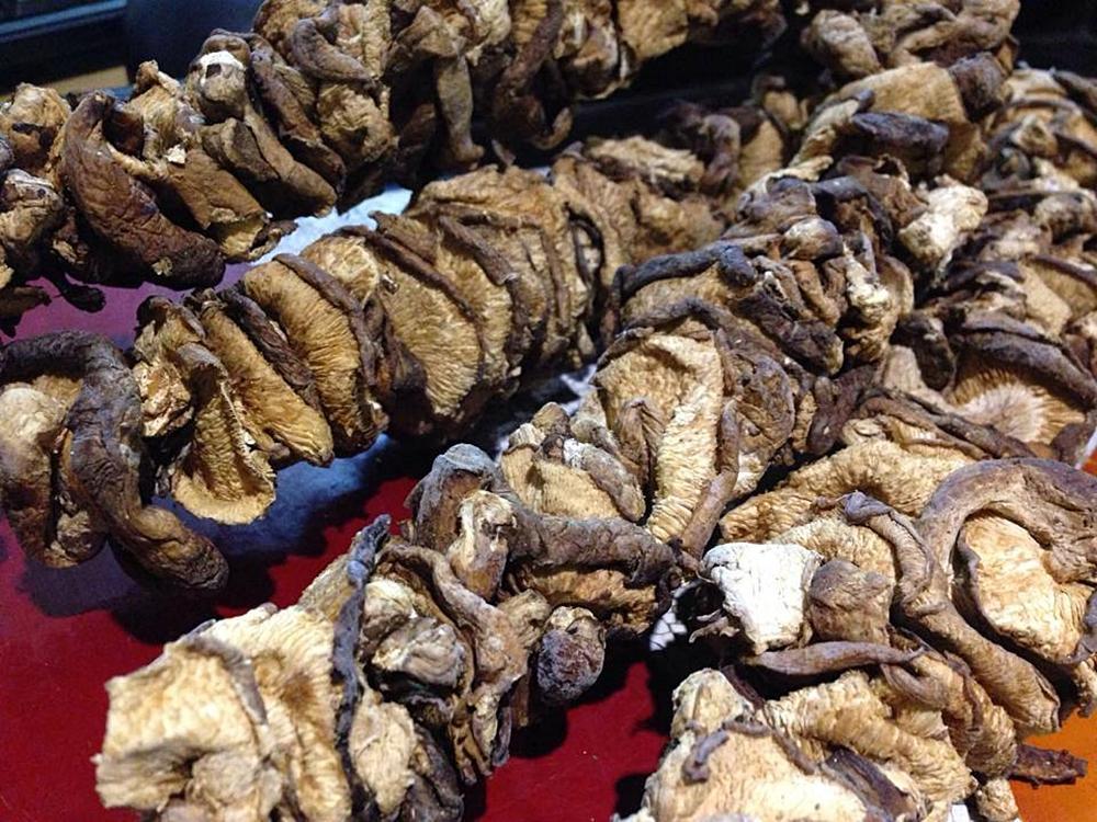 Nấm hương rừng sapa xiên que 1KG