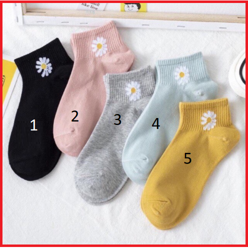 Combo 05 đôi Tất hoa Cúc Họa Mi một cỡ, vớ Hoa Cúc Họa Mi nhiều màu một cỡ
