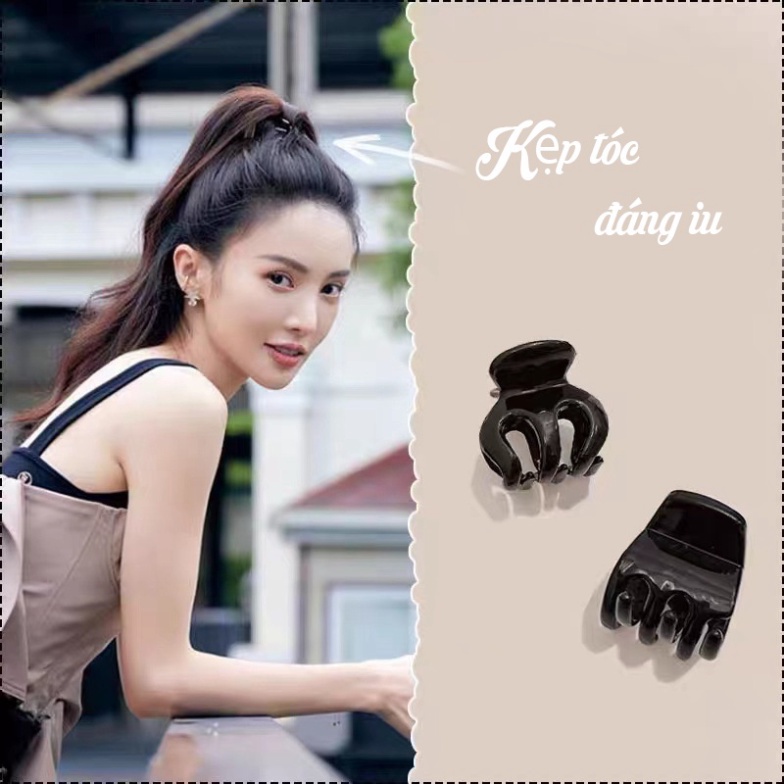 Kẹp tóc càng cua đuôi ngựa kt daylily
