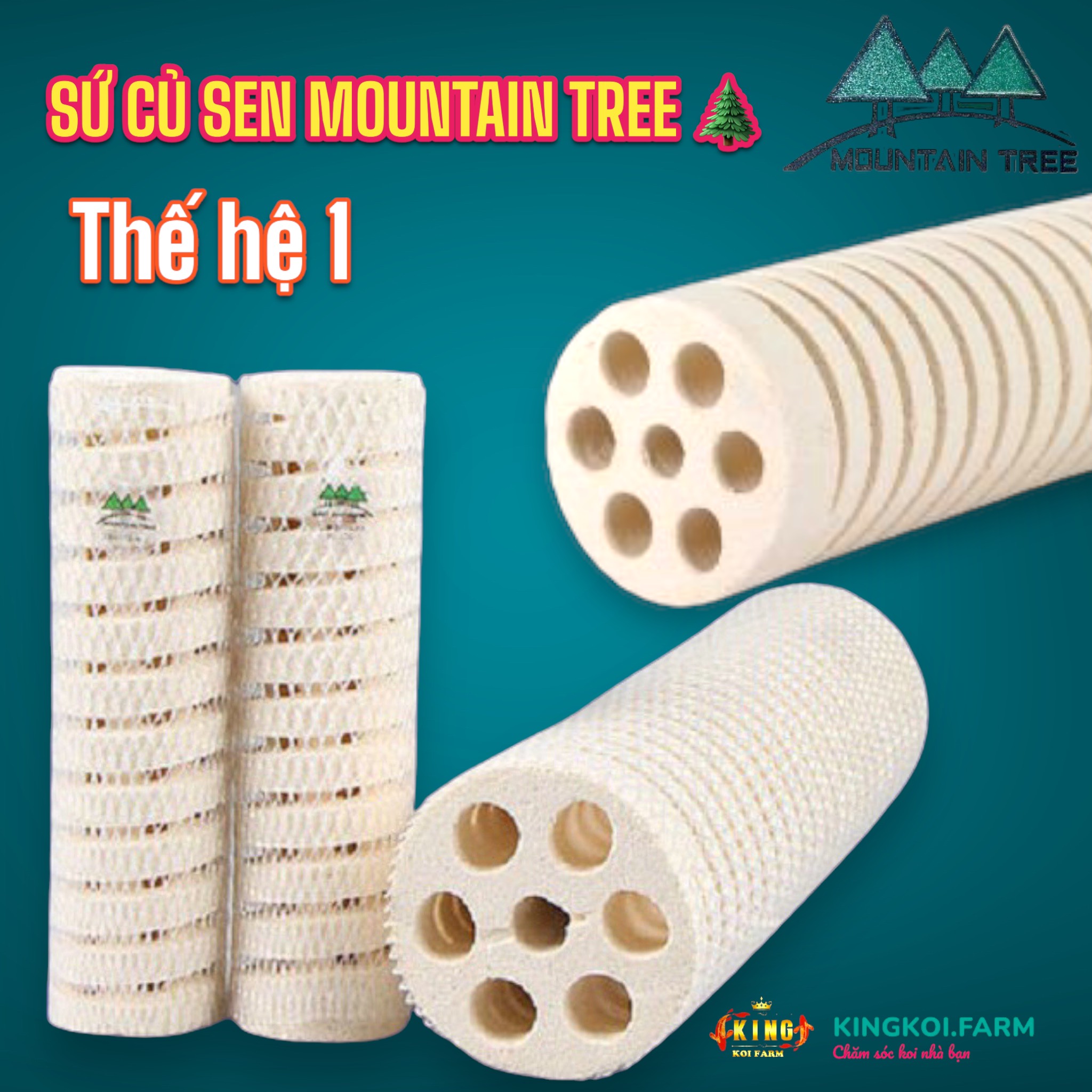 [GIẢM ĐẾN 20% Ở XU] Sứ lọc củ sen MOUNTAIN TREE thế hệ 1 Sứ lọc nước cao cấp tạo vi sinh chuyên dụng hồ cá koi cá rồng(thùng 60thanh)