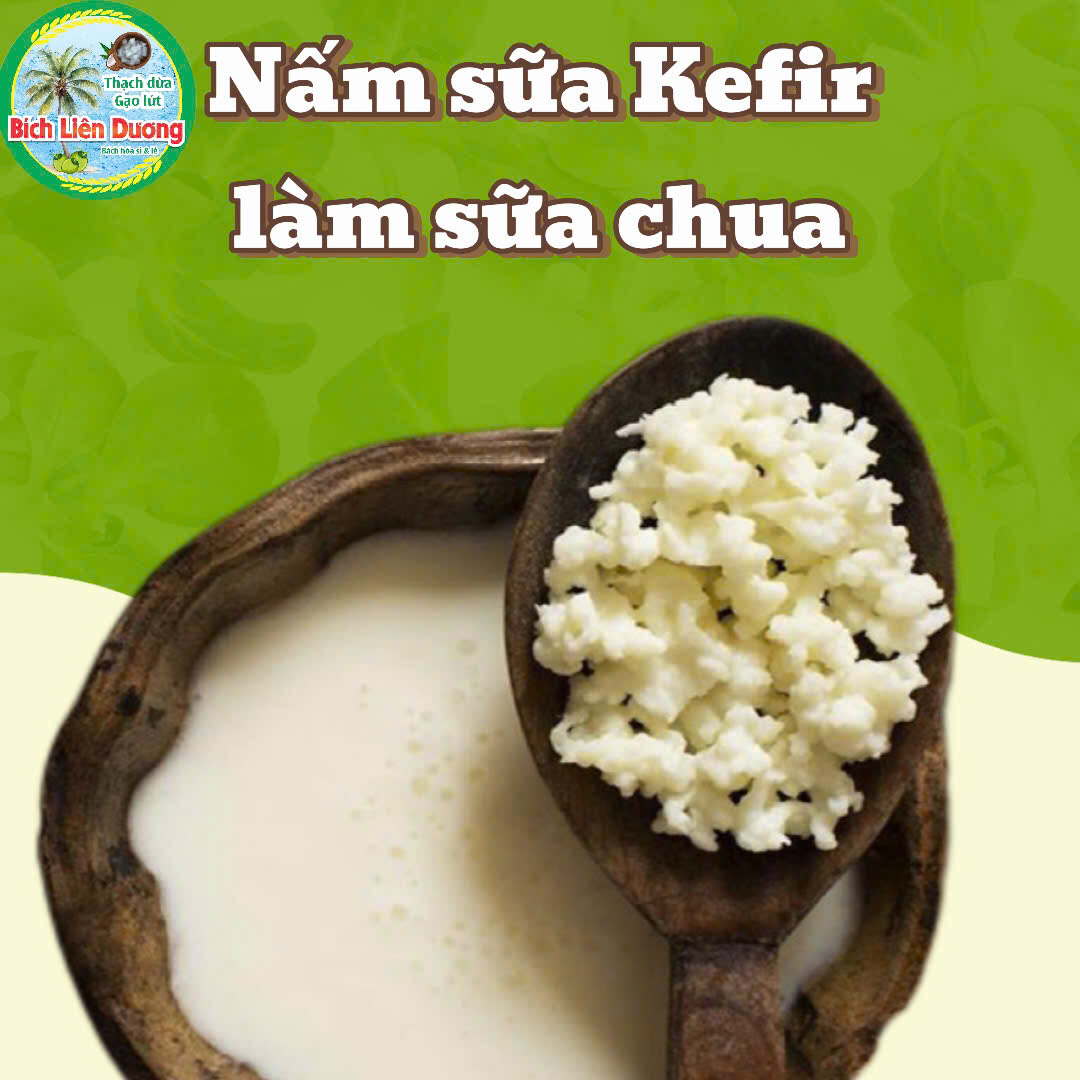 NẤM SỮA KEFIR/NẤM TÂY TẠNG_LÀM SỮA CHUA ĐƠN GIẢN TẠI NHÀ