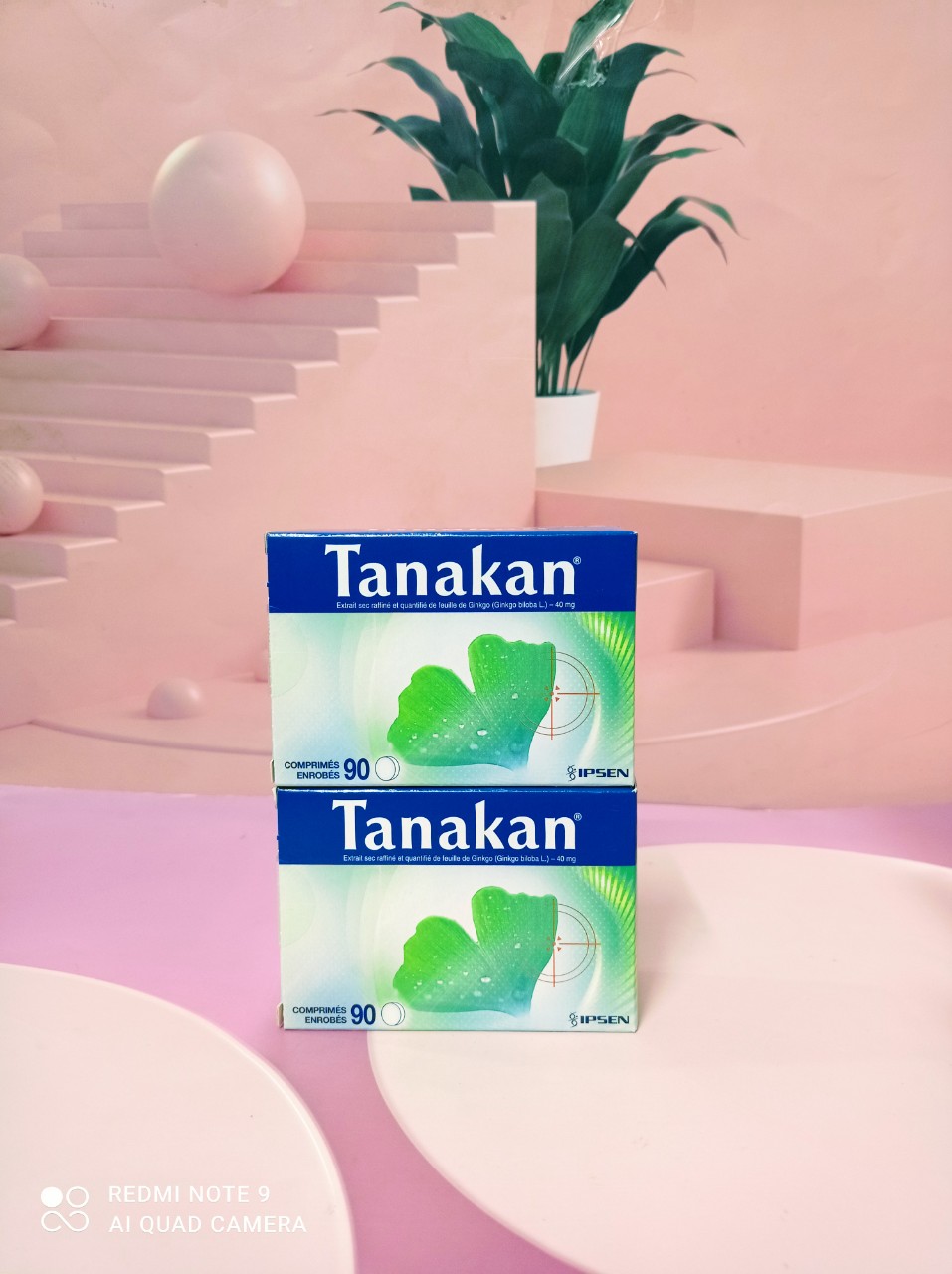 Viên uống bổ não Tanakan 90 viên - hàng nội địa Pháp