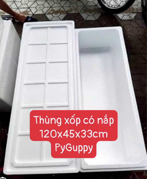 🐟 THÙNG XỐP CÓ NẮP 1M2 – KÍCH THƯỚC LỚN 🐟