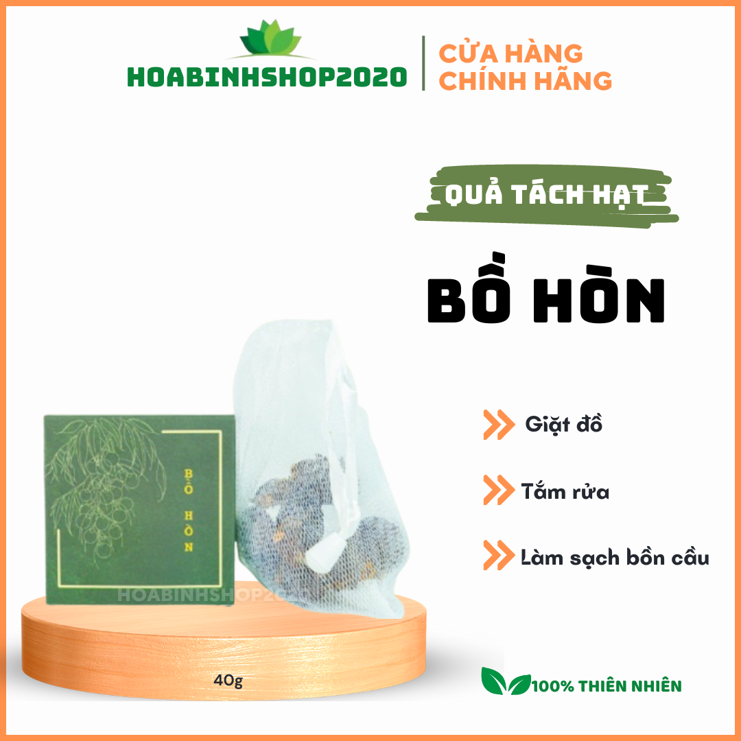 [CHÍNH HÃNG] Bồ Hòn Trường Sơn Xanh Sinh Dược- 40G+ Túi Lưới