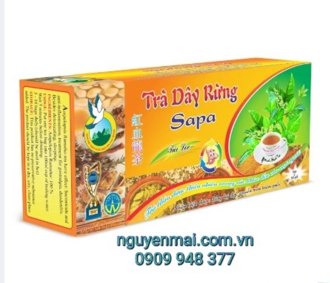 Sapa Forest Tea for Stomach Pain- Nguyen Thai Trang - Natural Herbal