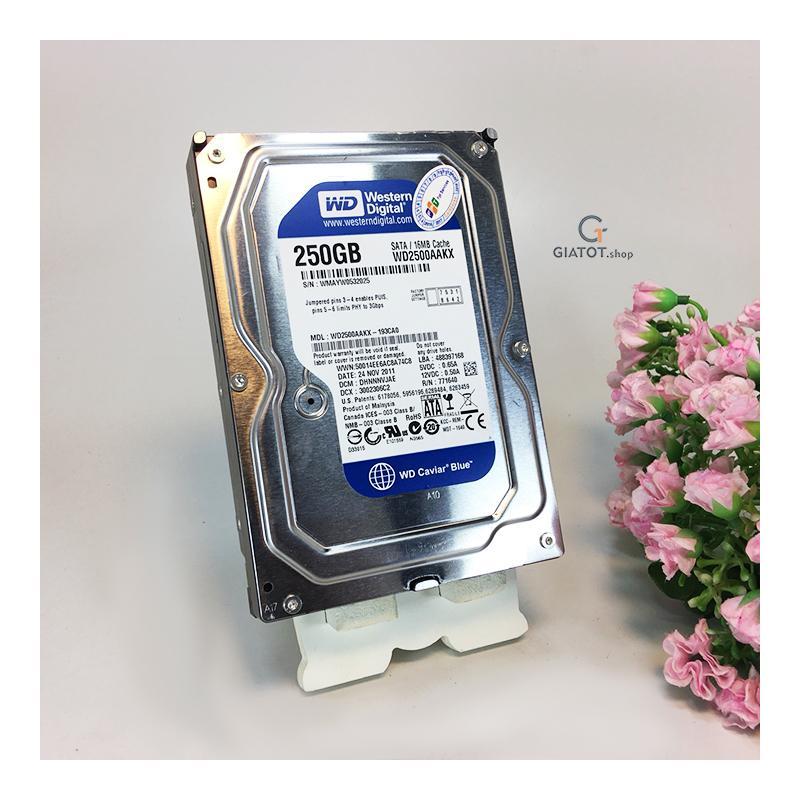 HDD 250GB WD - Ổ Cứng Gắn Trong 250GB WD Blue BH 24 Tháng Giá Rẻ