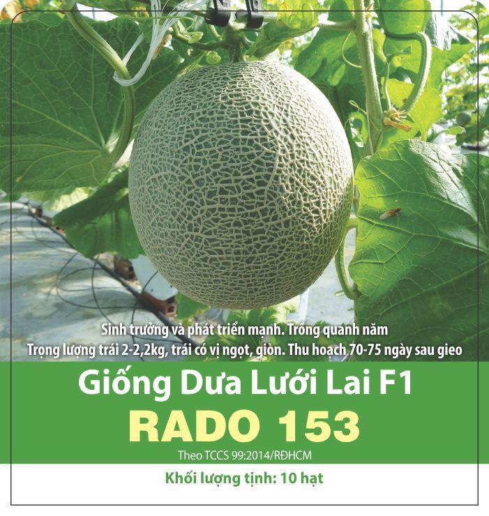 Hạt Giống Dưa Lưới Chịu Nhiệt, Năng Suất Cao (10 Hạt)