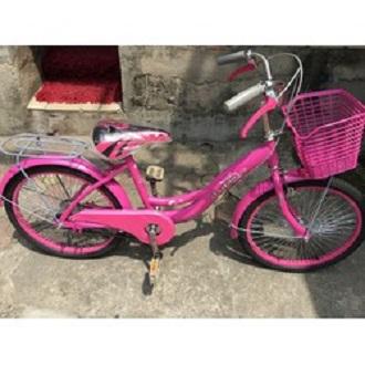 Xe đạp trẻ em 20in từ 6 đến 14 tuoi - Tổng Đại lý  (Xe Việt Nam)