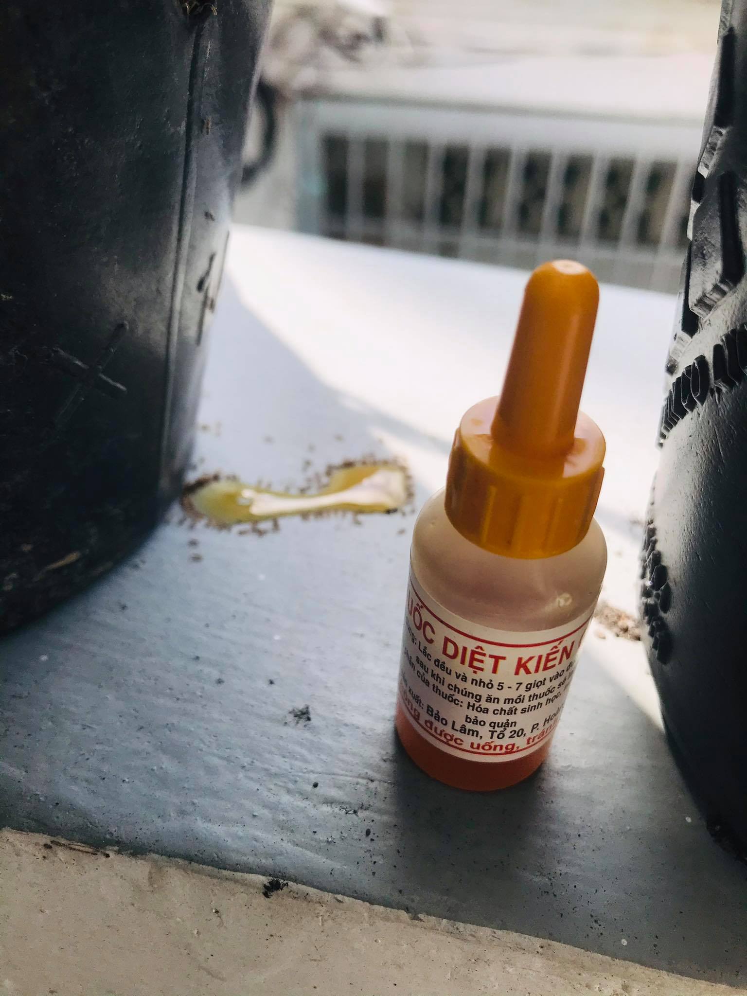 Thuốc diệt kiến sinh học - Diệt Kiến- Diệt Gián Tận Gốc Chai 10ml Xuất xứ Việt Nam