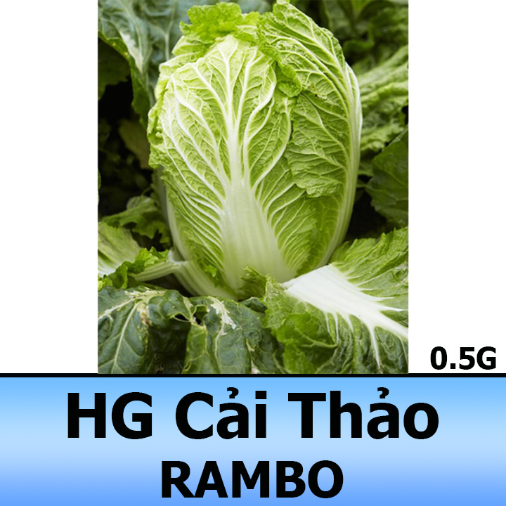 Hạt Giống Cải Thảo Giòn, Ngọt, Giàu Dinh Dưỡng 0,5G