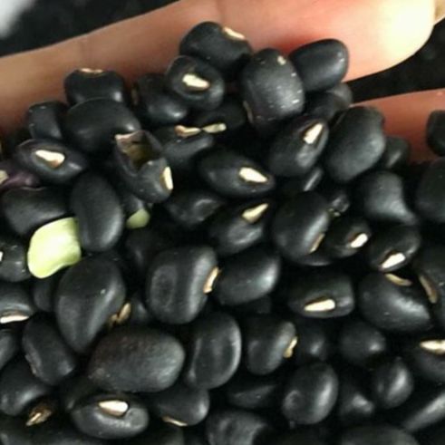 1kg ĐẬU ĐEN XANH LÒNG loại ngon