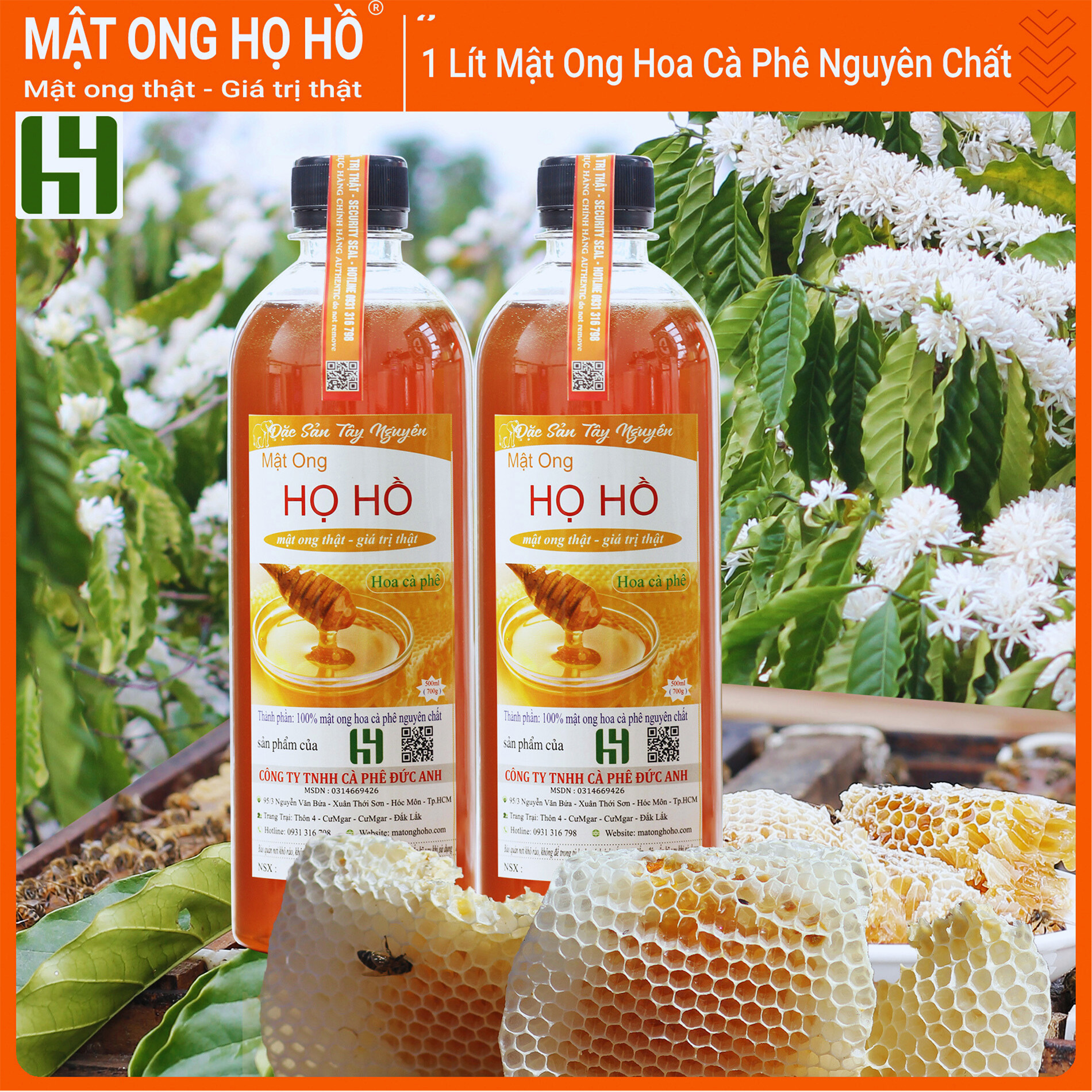 1 lít mật ong hoa cafe nguyên chất khai thác vụ mới từ nhà Mật Ong Họ Hồ, mật ong nguyên chất đặc sản tây nguyên