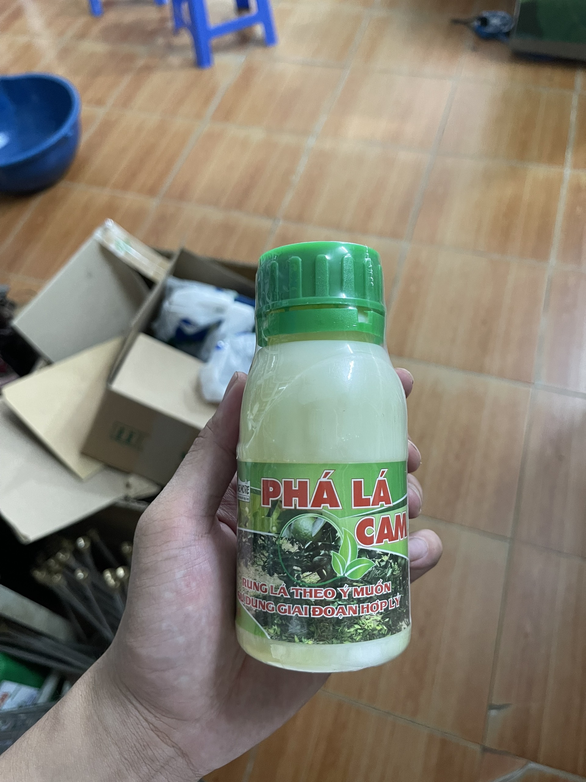 Phân bón lá phá lá cam, lá chanh