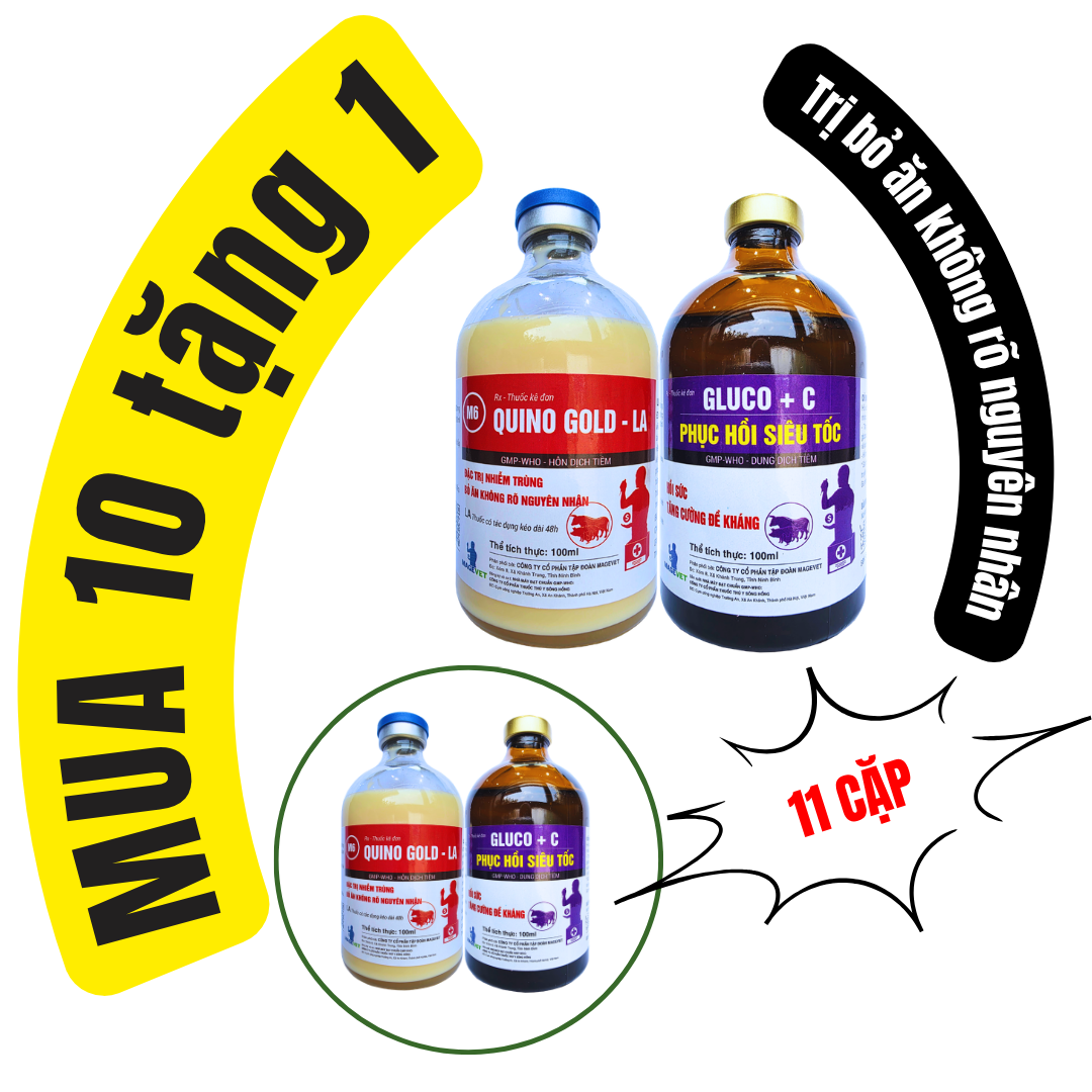THUỐC CHỮA BỎ ĂN KHÔNG RÕ NGUYÊN NHÂN HEO THỊT QUINOGOLD LA + PHỤC HỒI SIÊU TỐC