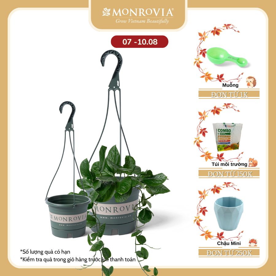 Chậu treo hoa MONROVIA, Dòng T-series, chậu nhựa treo, chậu nhựa treo trồng cây, phong cách châu âu, thiết kế tinh tế, chính hãng monrovia