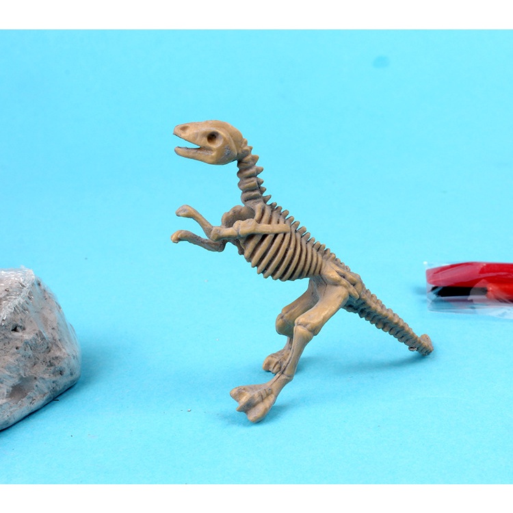 [HCM]Bộ xương khủng long hóa thạch nằm dưới đá chờ bé khai quật