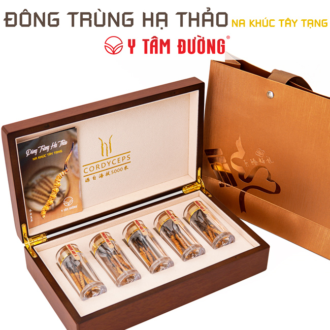 Đông Trùng Hạ Thảo Tây Tạng nguyên con