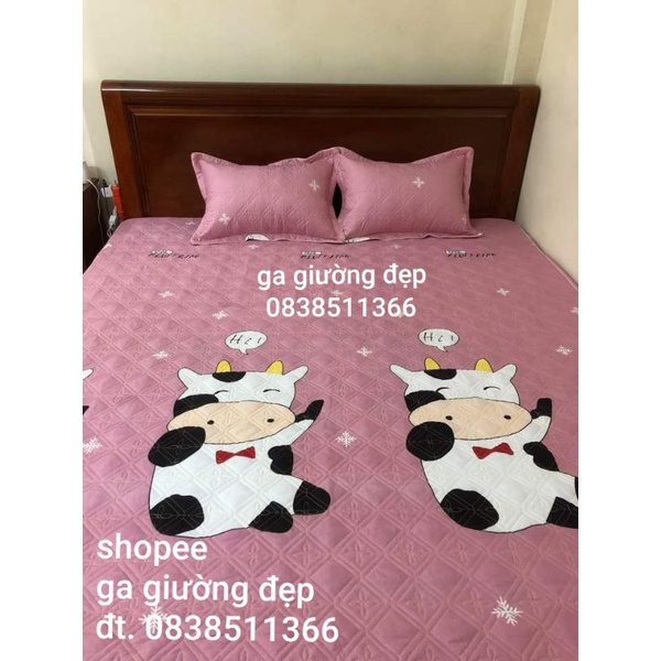 Ga trần bông ga chải giường ga chun bọc đệm chắc chắn