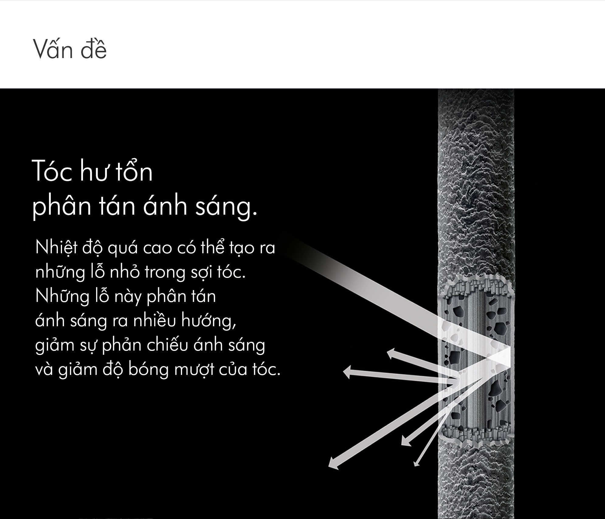 dyson supersonic tm hair dryer hd08 vinca blue rosé - máy sấy tóc 10