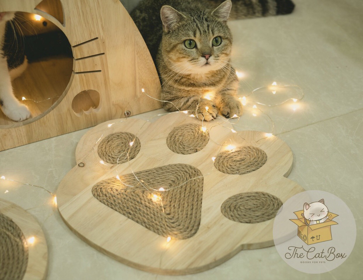 [HCM]Bàn cào móng cho mèo hình bàn chân kích thước 35cm