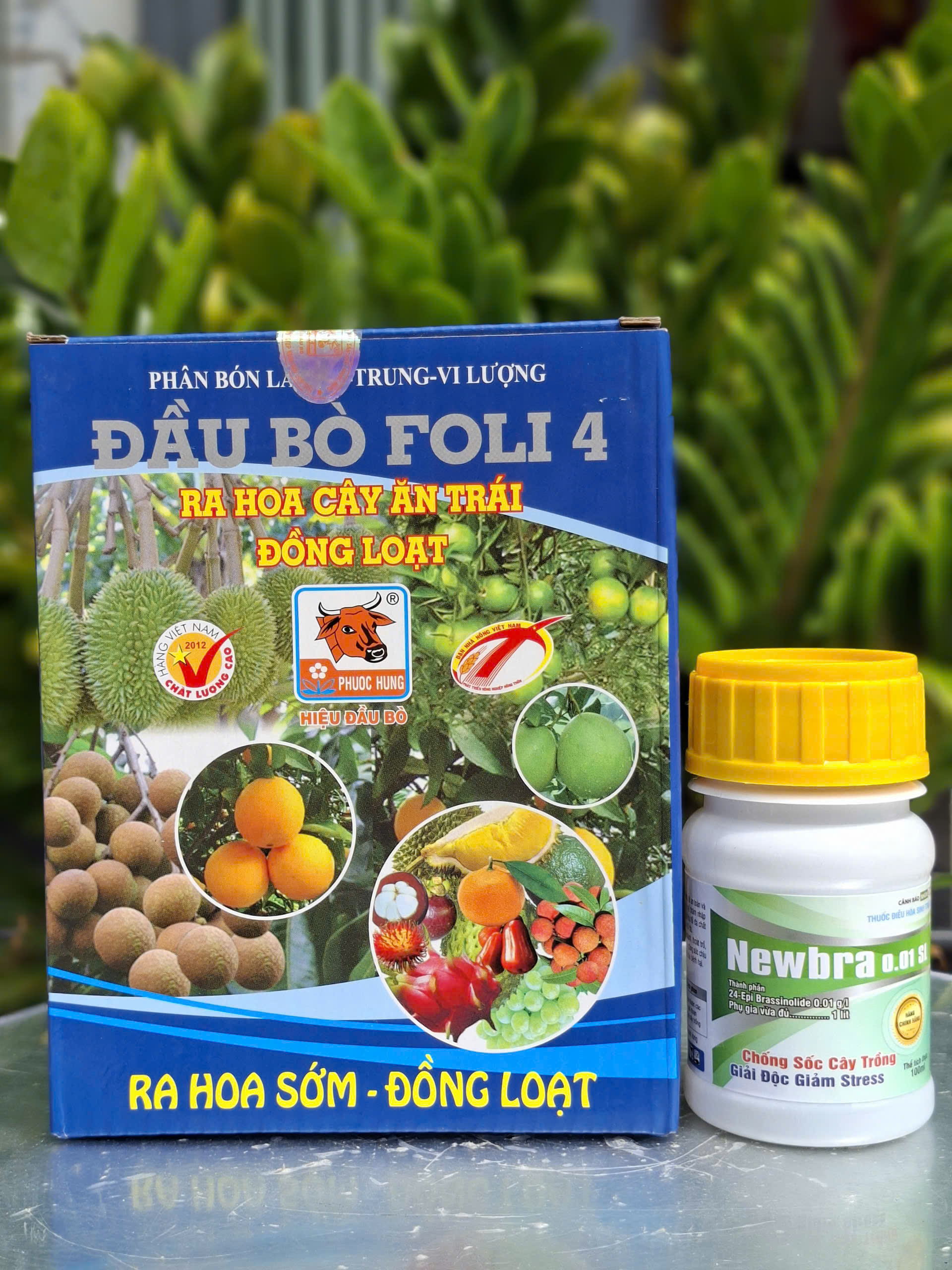 Bộ đôi rước mắt cua trên sầu riêng: ĐẦU BÒ FOLI 4 + NEWBRA 0.01SL: ra hoa sớm, đồng loạt; điều hòa sinh trưởng cây trồng giai đoạn ra hoa
