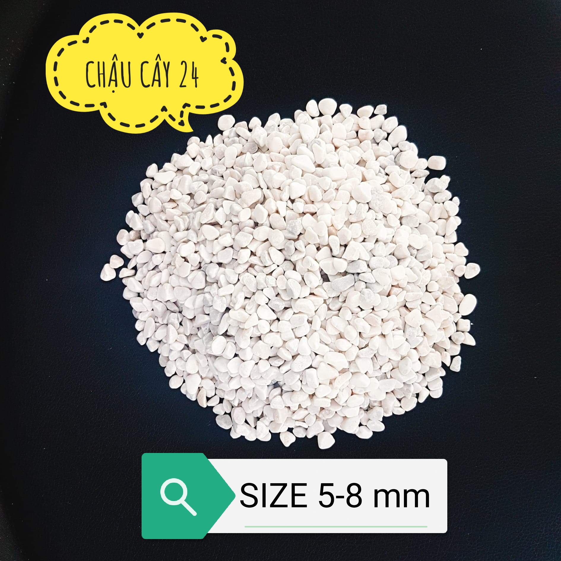 Sỏi trang trí bể cá, chậu cây, terrarium 1 KG loại trắng nhỏ size 5-8 mm