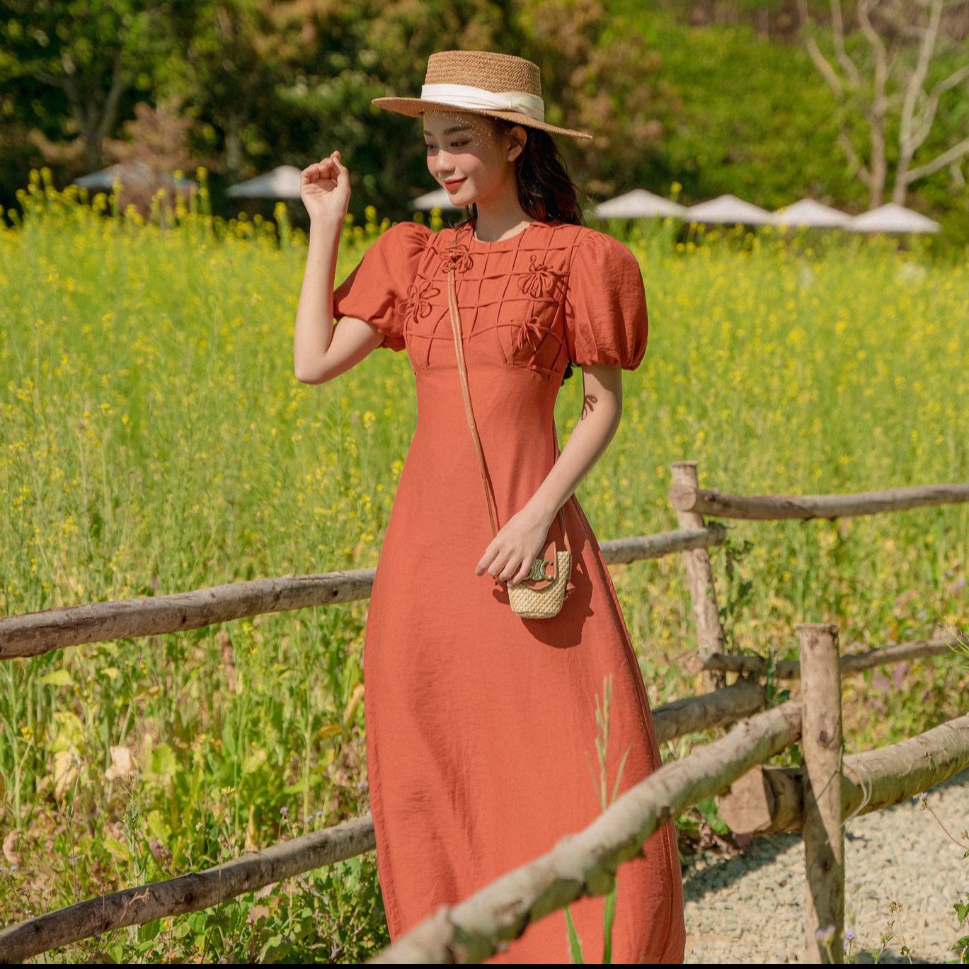 Olv - đầm dion bronze dress