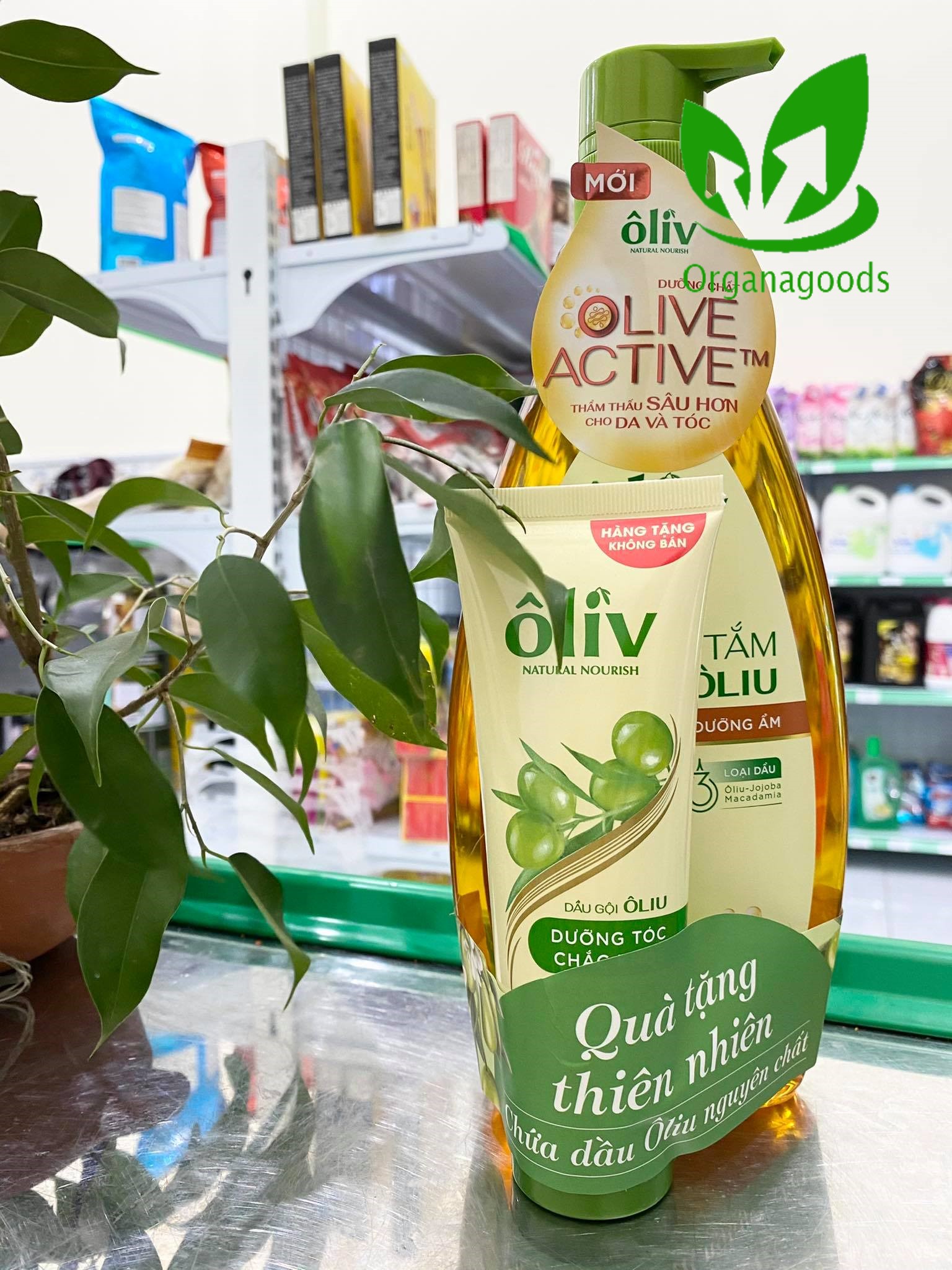 Dầu tắm Oliv 650ml (tặng tuýp dầu gội) - Sữa tắm Oliu 650ml - Dầu gội Olive 650ml - Dầu xả Oliv 650ml (tặng tuýp sữa tắm)