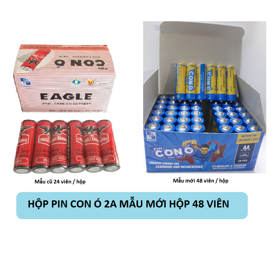 Hộp pin tiểu con Ó