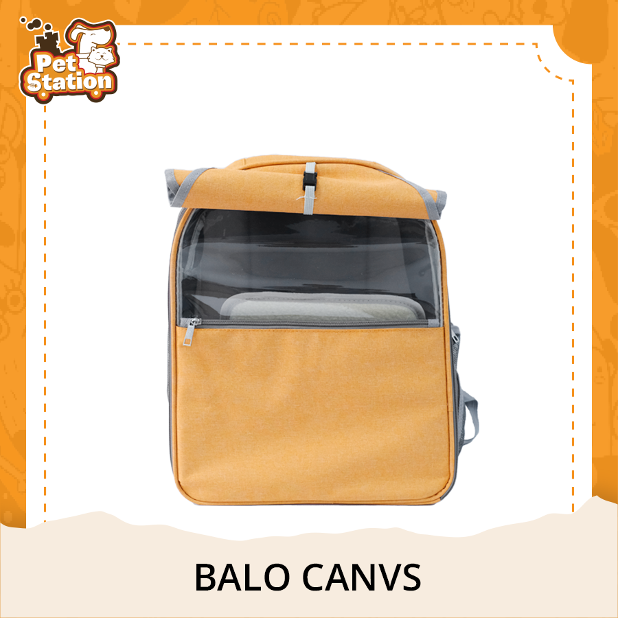 Balo Canvas cho thú cưng