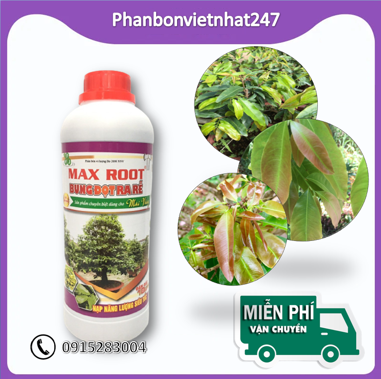 Phân bón bung đọt ra rễ cho mai vàng Max Root cây phát triển mạnh - 1 Lít