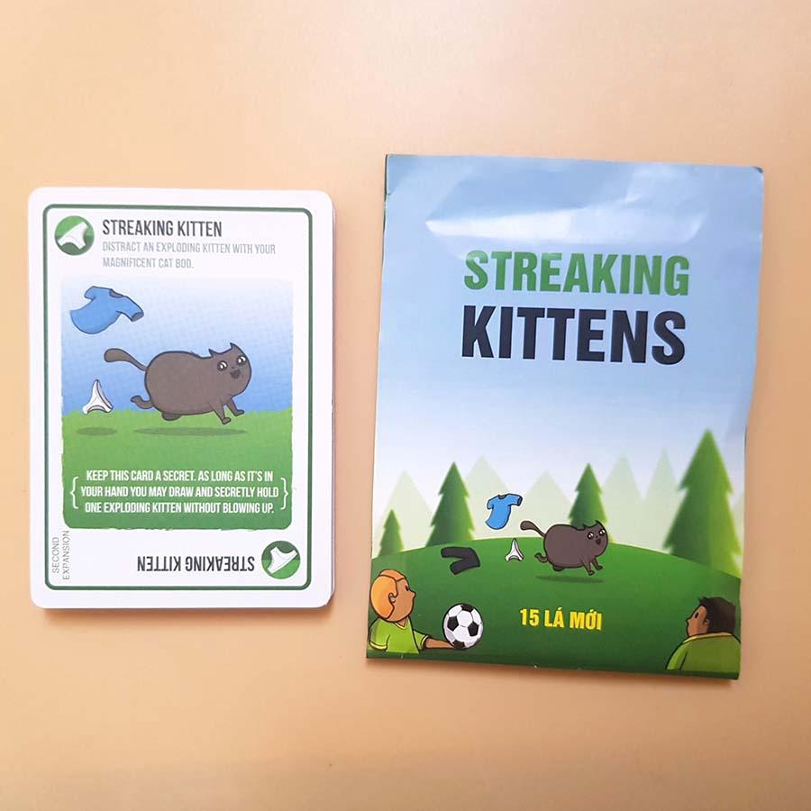 Mèo mở rộng số 5 - streaking kittens mèo sọc