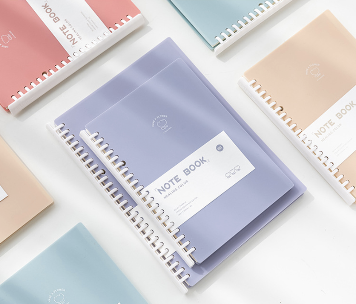 Sổ binder pastel HEALING COLOR còng nhựa size A5/B5 - Omi House