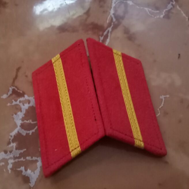 Cặp tuyết trơn vạch vàng trang trí cổ áo.  Không có hình.