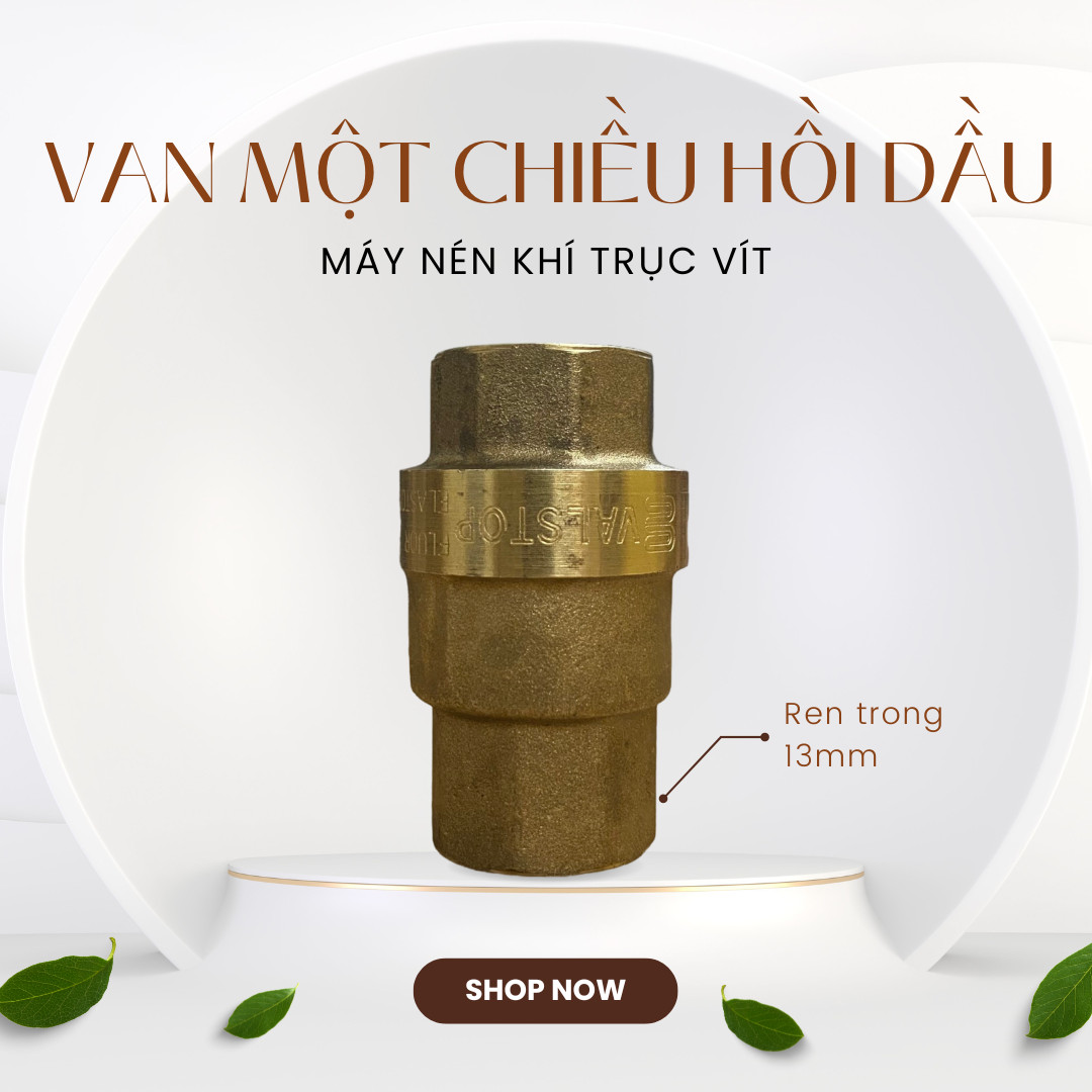 Van 1 Chiều Hồi Dầu Máy Nén Khí Trục Vít Fusheng Ren Trong 13mm