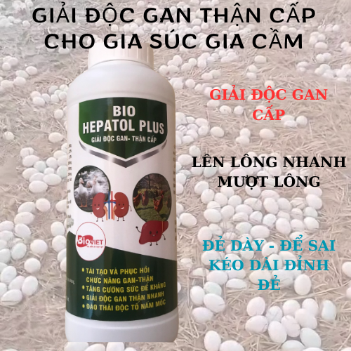 Hepatol giải độc gan thận cấp cho gia súc gia cầm