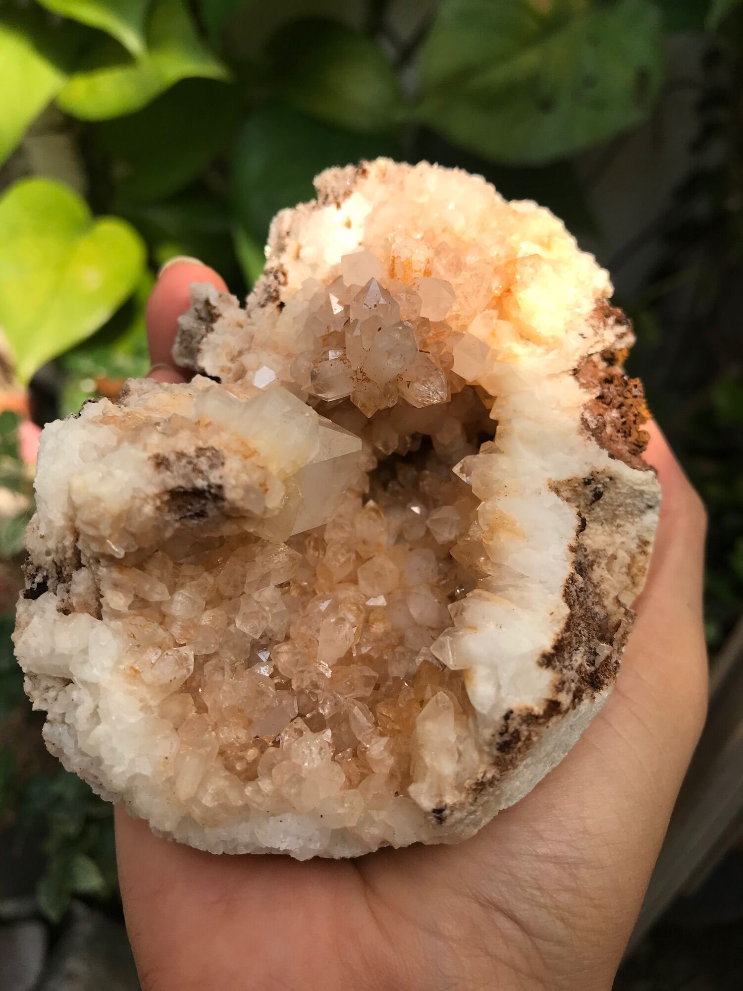 Hoc đá Thạch Anh vàng Tự nhiên thiên Citrine nhiên 100 % lắp lánh năng lượng cao