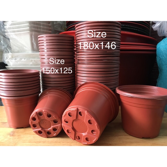 Combo 10 cái Chậu Nhựa Mỏng Trồng Cây - Ươm Cây (Có 4Size: 20-26)