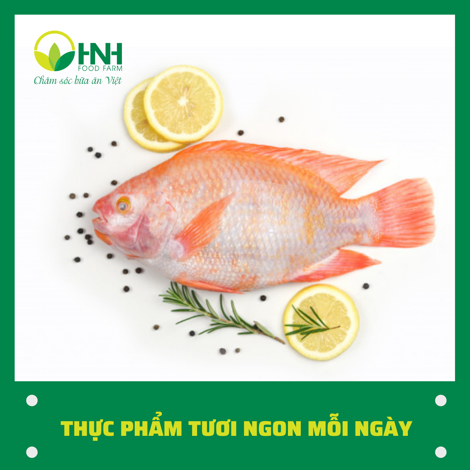 [CHỈ GIAO HÀ NỘI] Cá diêu hồng 1kg sạch ngon trợ giá mùa dịch - HNH Food Farm