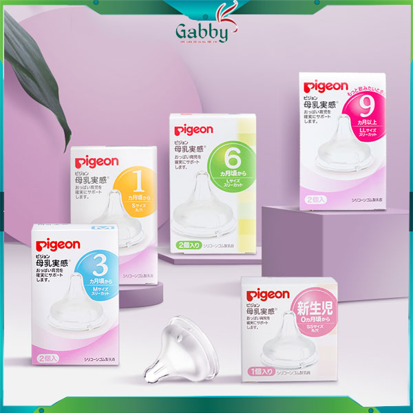 Núm pigeon nội địa nhật s / m / l / ll / 3l