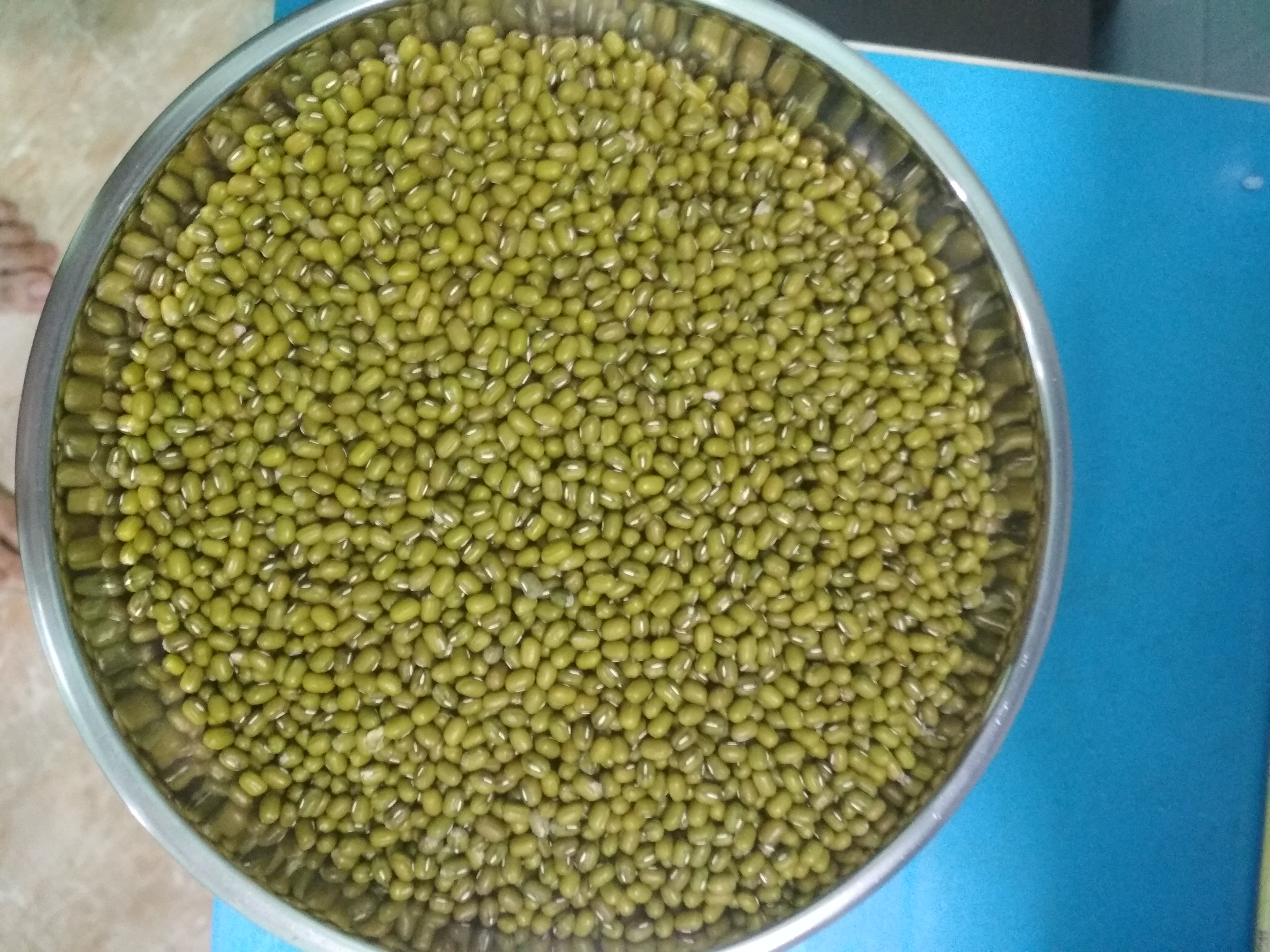 Đậu xanh nguyên hạt mới thu hoạch tháng 2/2022 - loại 0.5 kg