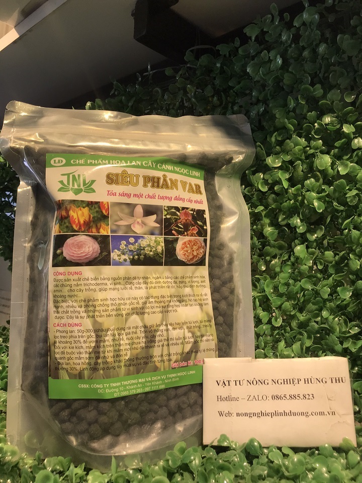 Phân dê - siêu phân var ngọc linh