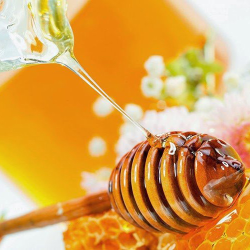 Mật ong rừng tam đảo nguyên chất. tốt cho sức khoẻ_____ giá lại cực 🌰🌰🌰 hạt dẻ