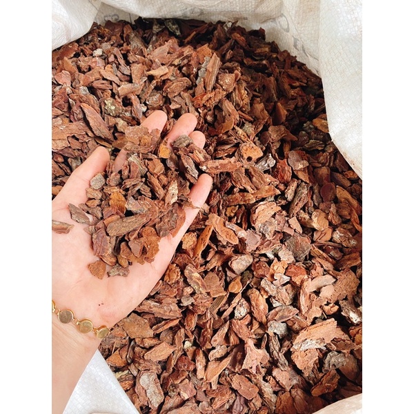 1kg vỏ thông đỏ xay size 1-2cm đã qua xử lý
