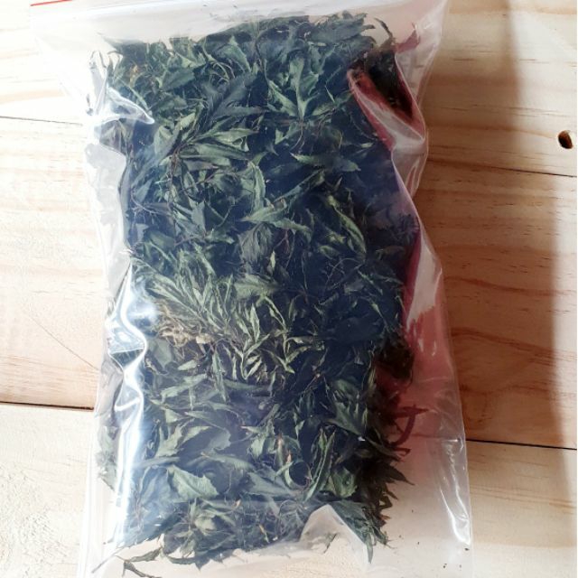 Lá đinh lăng đã làm sạch và sấy khô