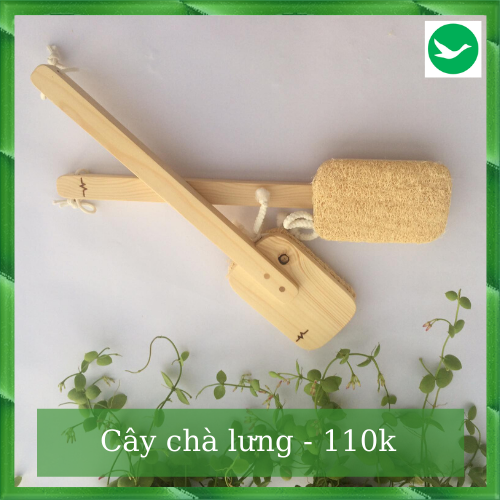 Cây chà lưng xơ mướp
